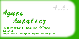 agnes antalicz business card